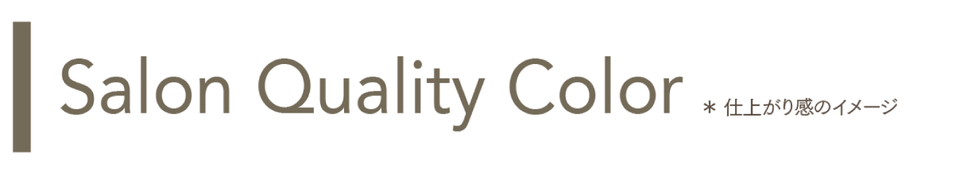 Salon Quality Color