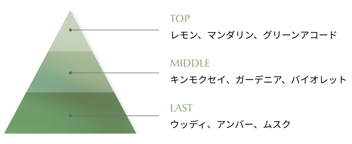 TOP レモン、マンダリン、グリーンアコード／MIDDLE キンモクセイ、ガーデニア、バイオレット／LAST ウッディ、アンバー、ムスク