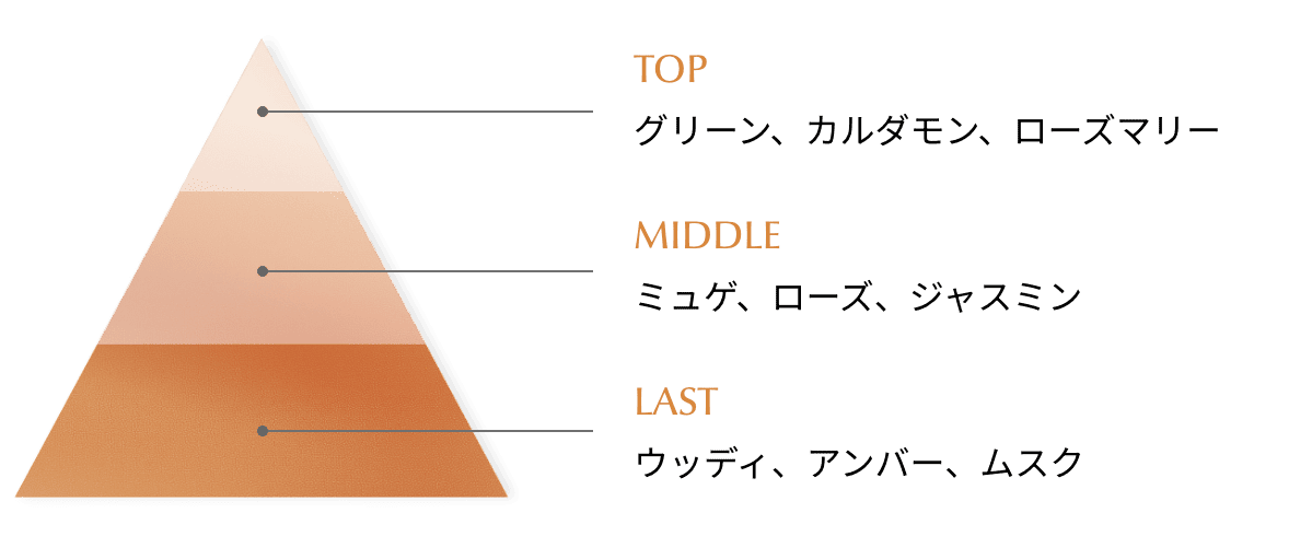 TOP グリーン、カルダモン、ローズマリー／MIDDLE ミュゲ、ローズ、ジャスミン／LAST ウッディ、アンバー、ムスク