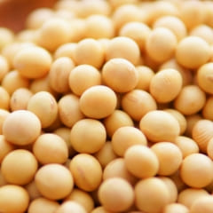 大豆たん白水解物